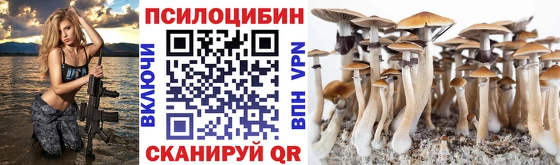 как найти   Нижнеудинск  Псилоцибиновые грибы мухоморы 